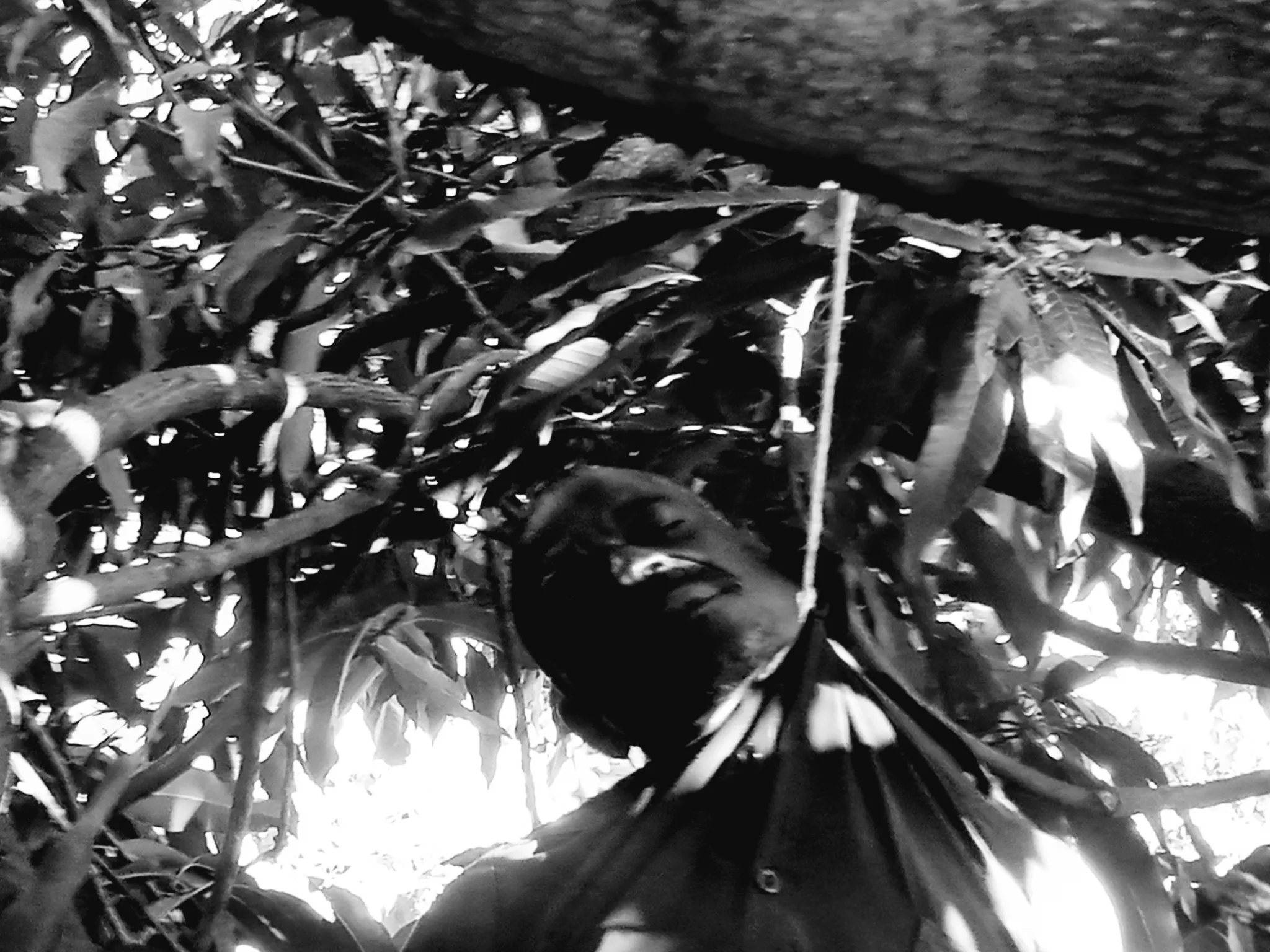 Questions Surround Death of Kameke SS Staff Member in Pallisa